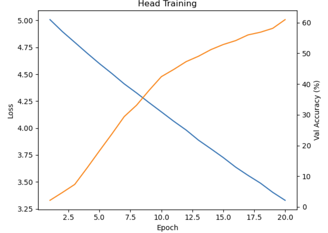 Close-up training photo of a Pokémon plush for the initial dataset